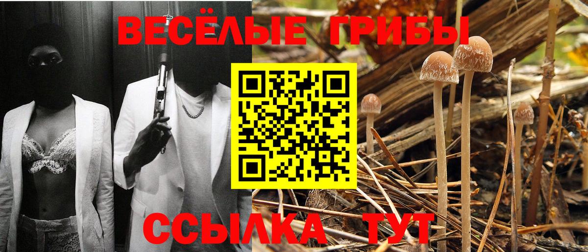 Псилоцибиновые грибы Psilocybine cubensis  Вход с VPN  Подольск 